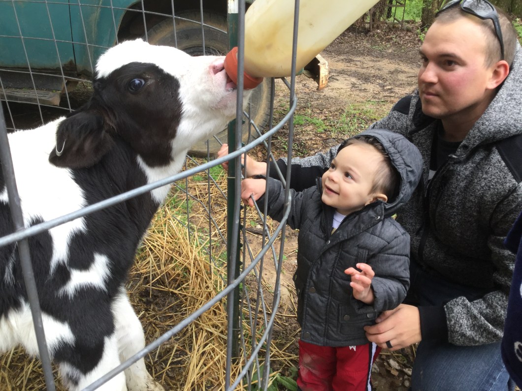 687A3339-CBF7-4EB0-B0EA-5C3A3154F098